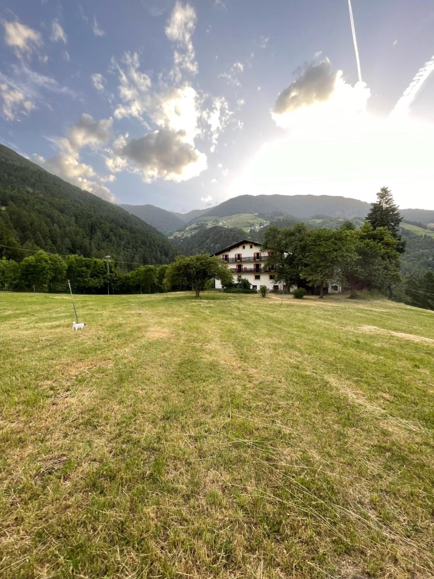 Plasur - Apartement Bella Vista Montechiaro Lichtenberg エクステリア 写真