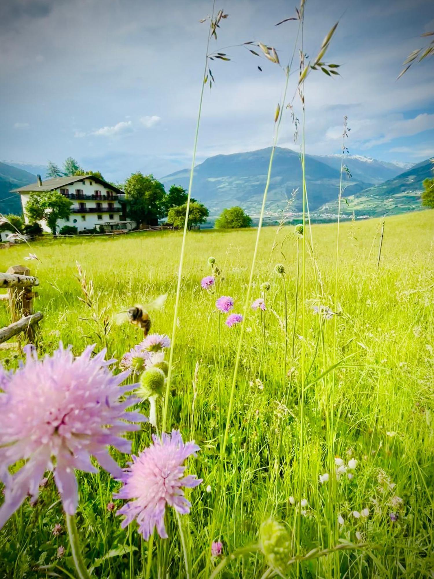 Plasur - Apartement Bella Vista Montechiaro Lichtenberg エクステリア 写真